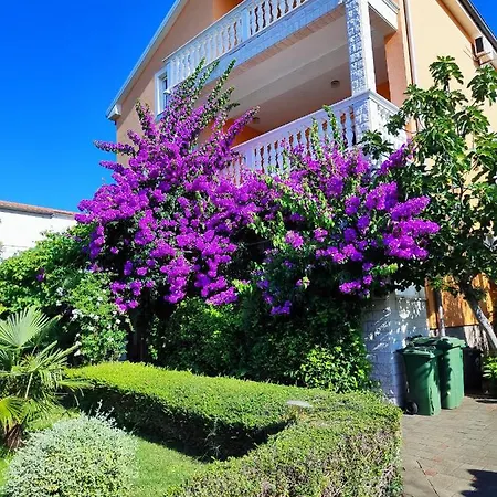 Apartment Seka *
