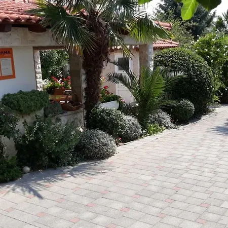 Seka Vodice