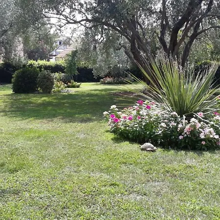 Seka Apartament *
